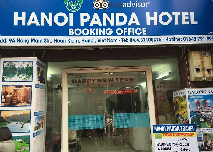 Ha Noi Panda